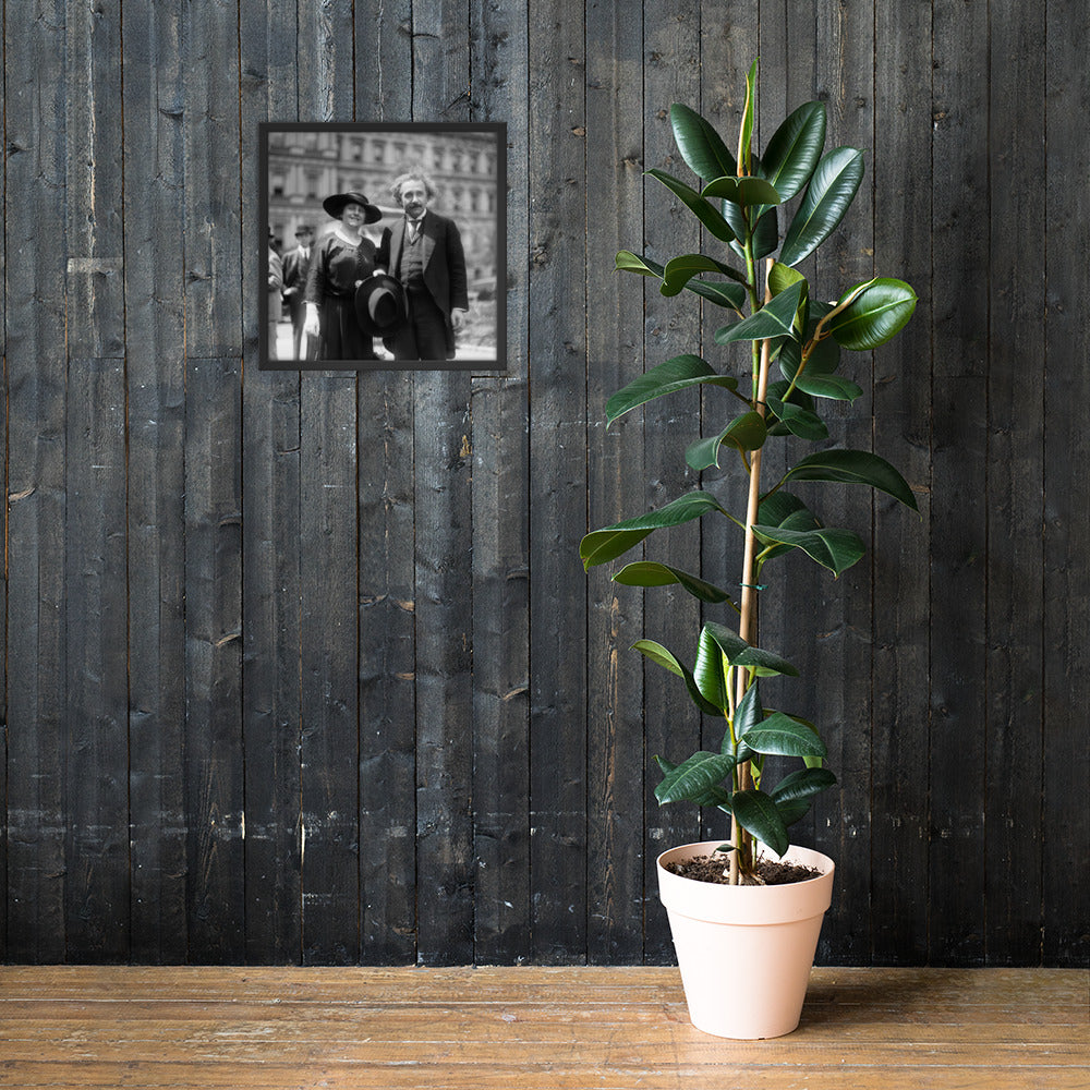 The Einsteins (Poster - Photo Paper Framed)