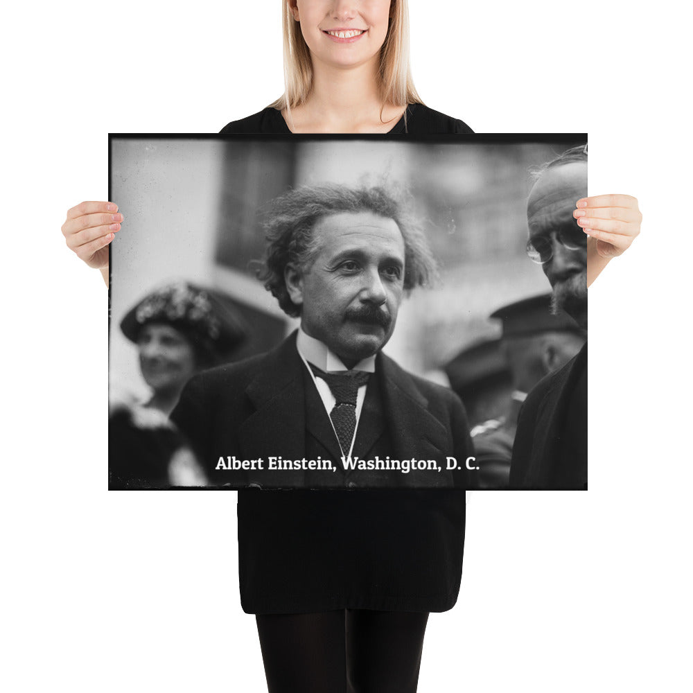 Einstein in Washington (Poster - Photo Paper)