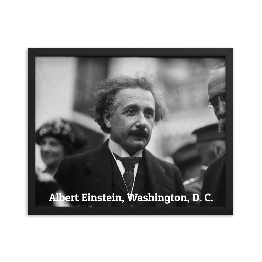 Einstein in Washington (Poster - Photo Paper Framed)