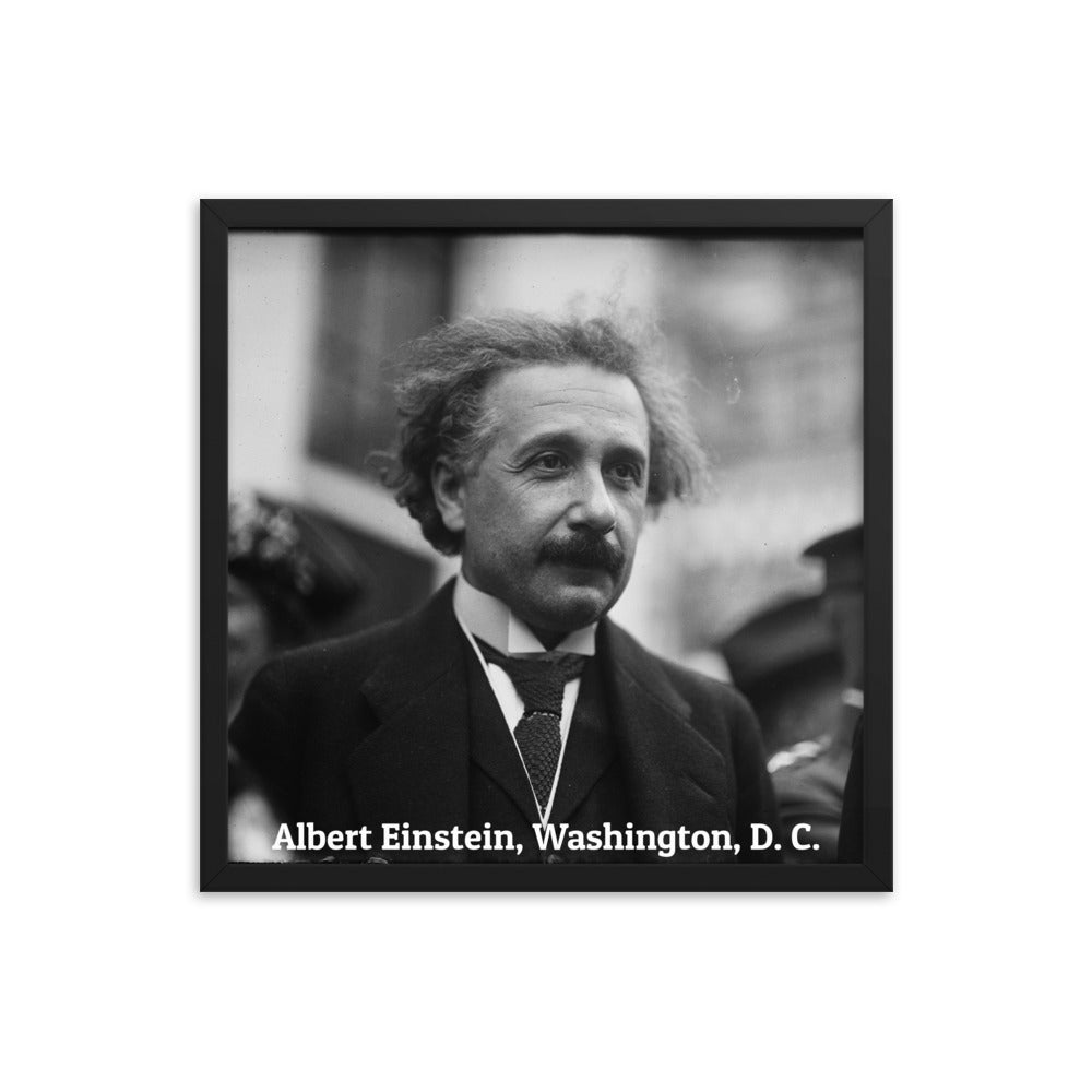 Einstein in Washington (Poster - Photo Paper Framed)