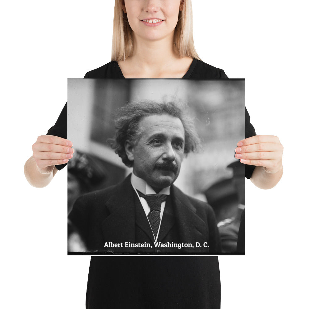 Einstein in Washington (Poster - Photo Paper)