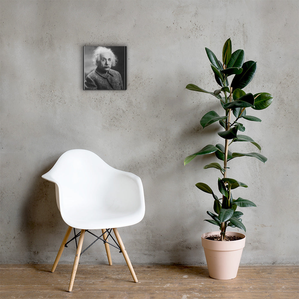Einstein Portrait (Canvas)
