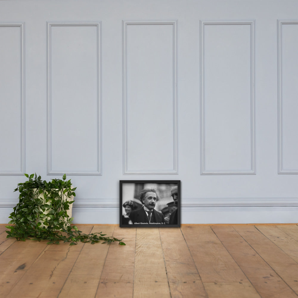 Einstein in Washington (Poster - Matte Framed)