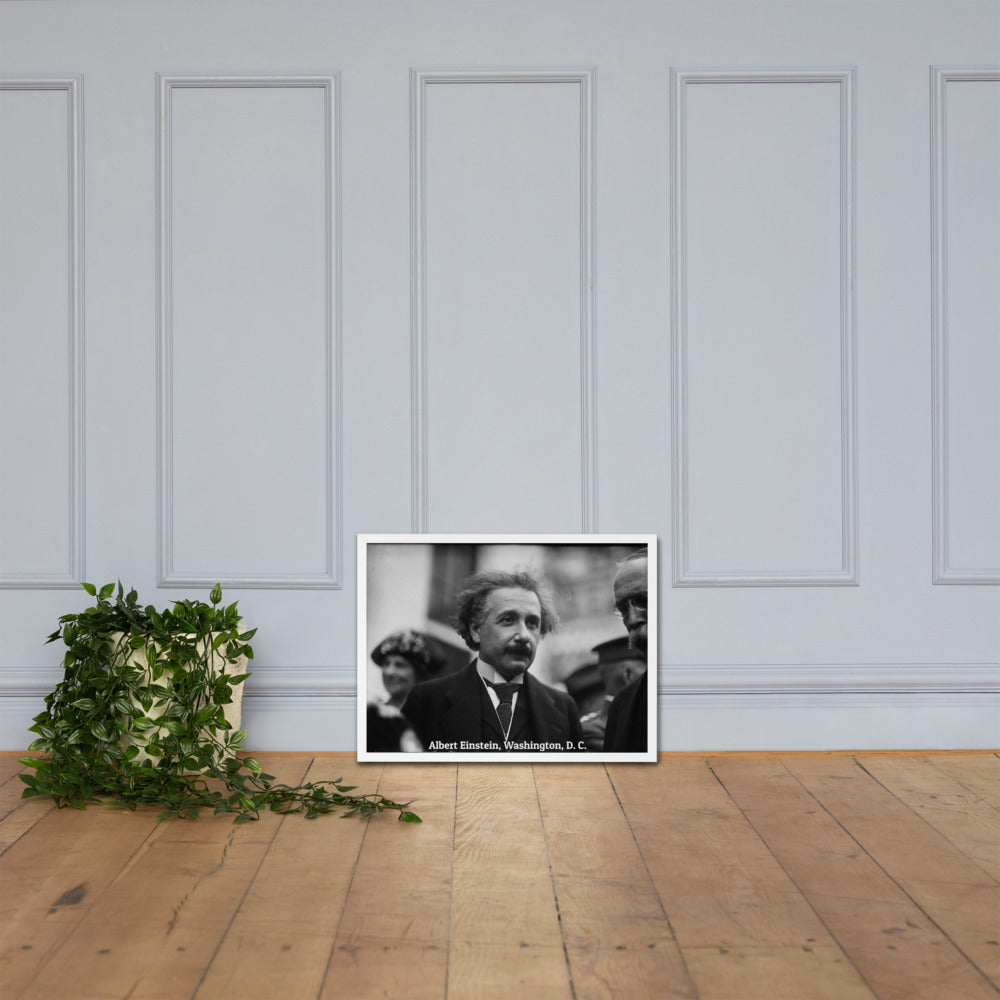 Einstein in Washington (Poster - Matte Framed)