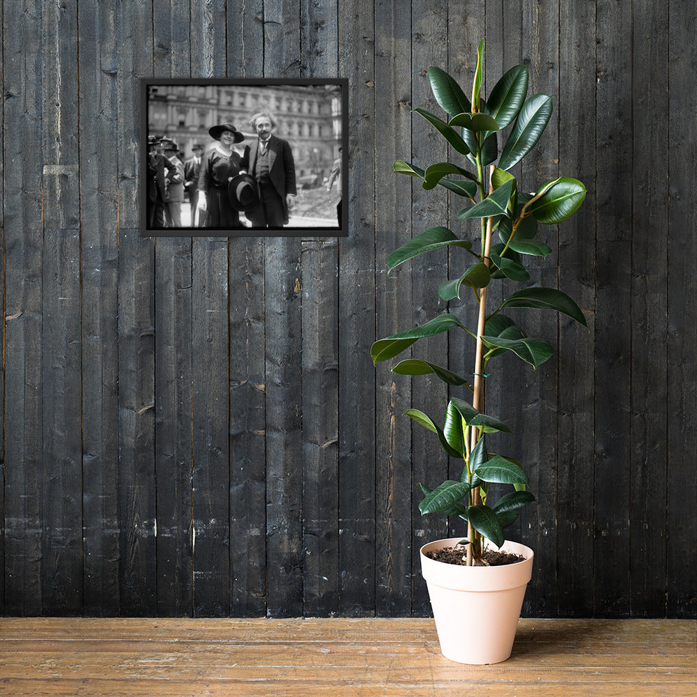 The Einsteins (Poster - Photo Paper Framed)