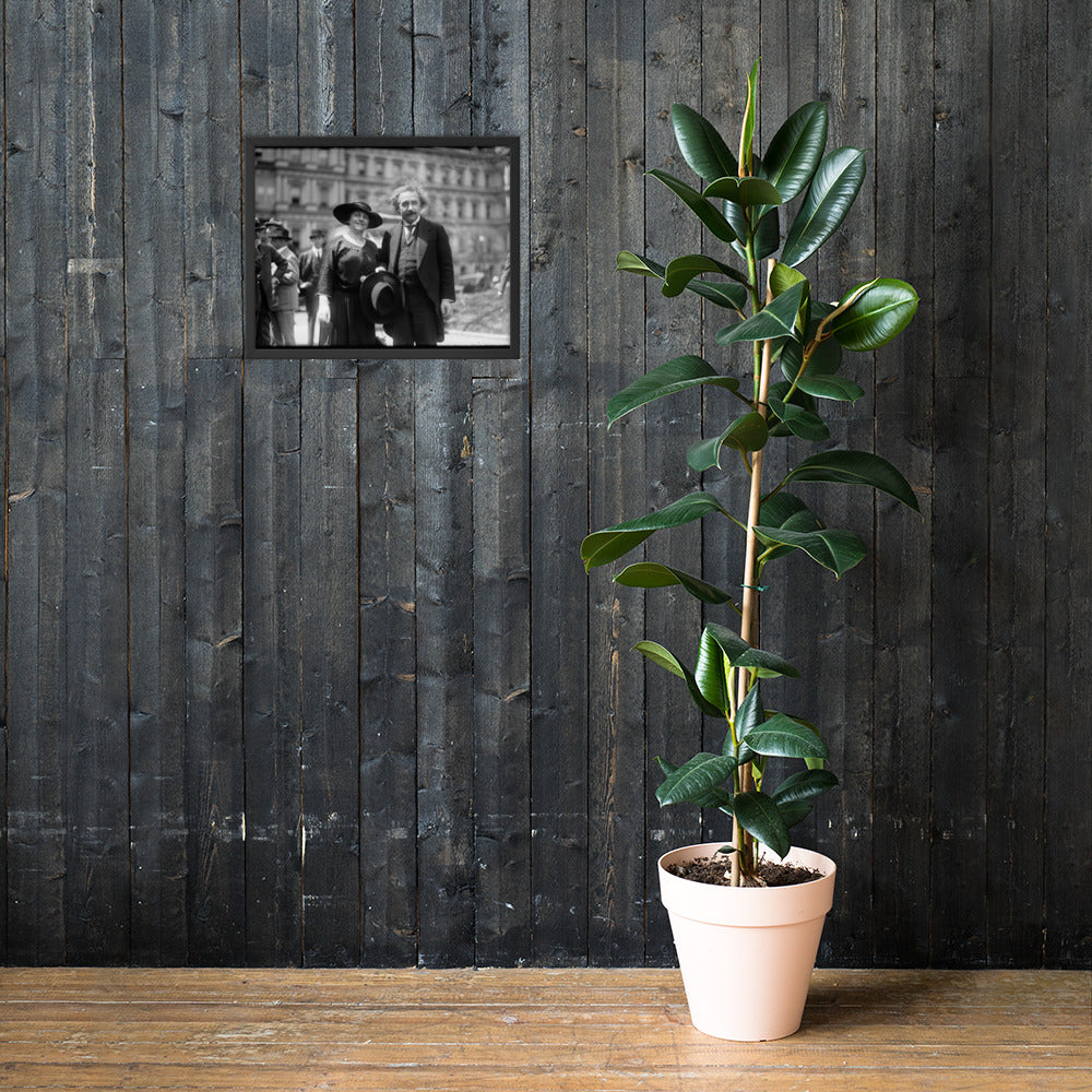 The Einsteins (Poster - Photo Paper Framed)