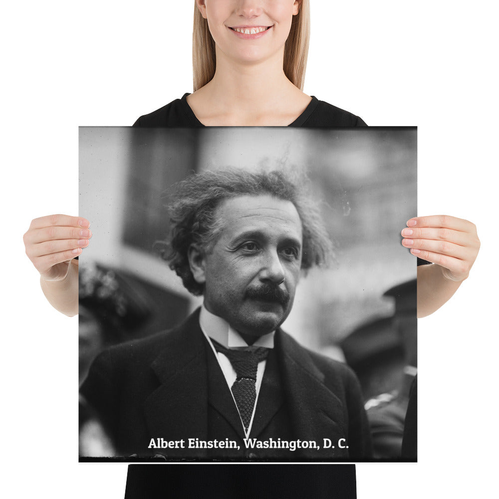 Einstein in Washington (Poster - Photo Paper)