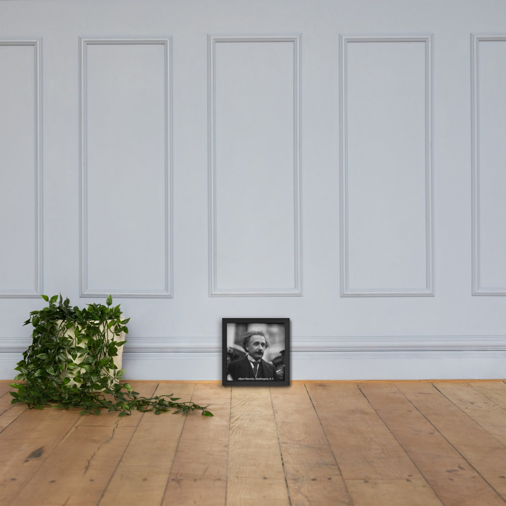 Einstein in Washington (Poster - Matte Framed)