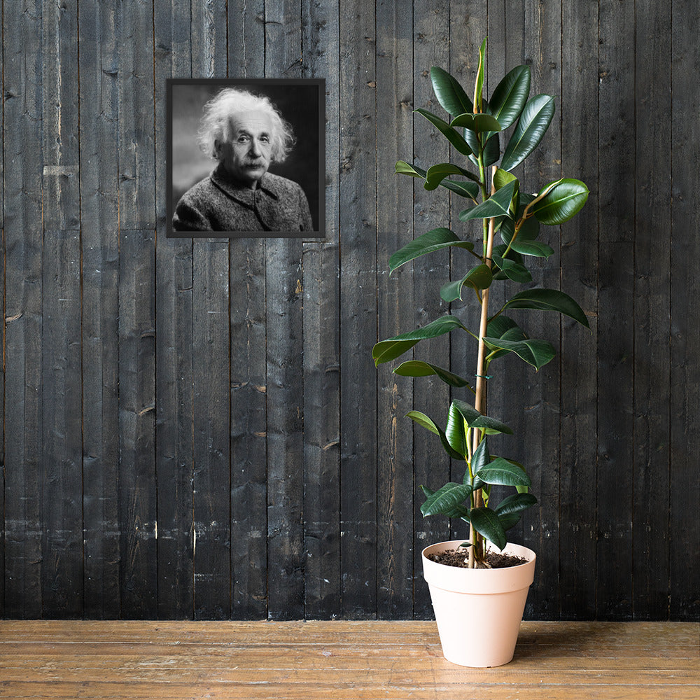 Einstein Portrait (Poster - Matte Framed)