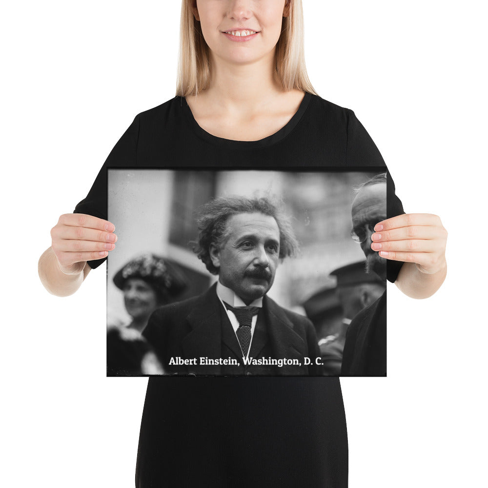 Einstein in Washington (Poster - Photo Paper)
