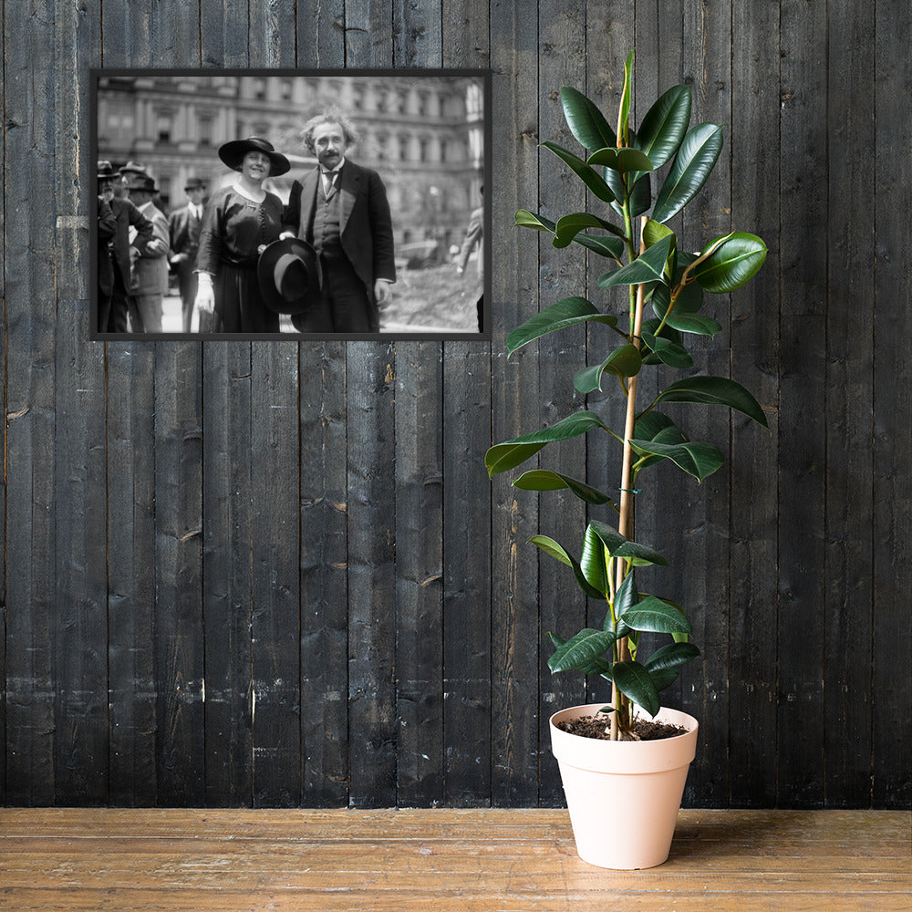 The Einsteins (Poster - Photo Paper Framed)