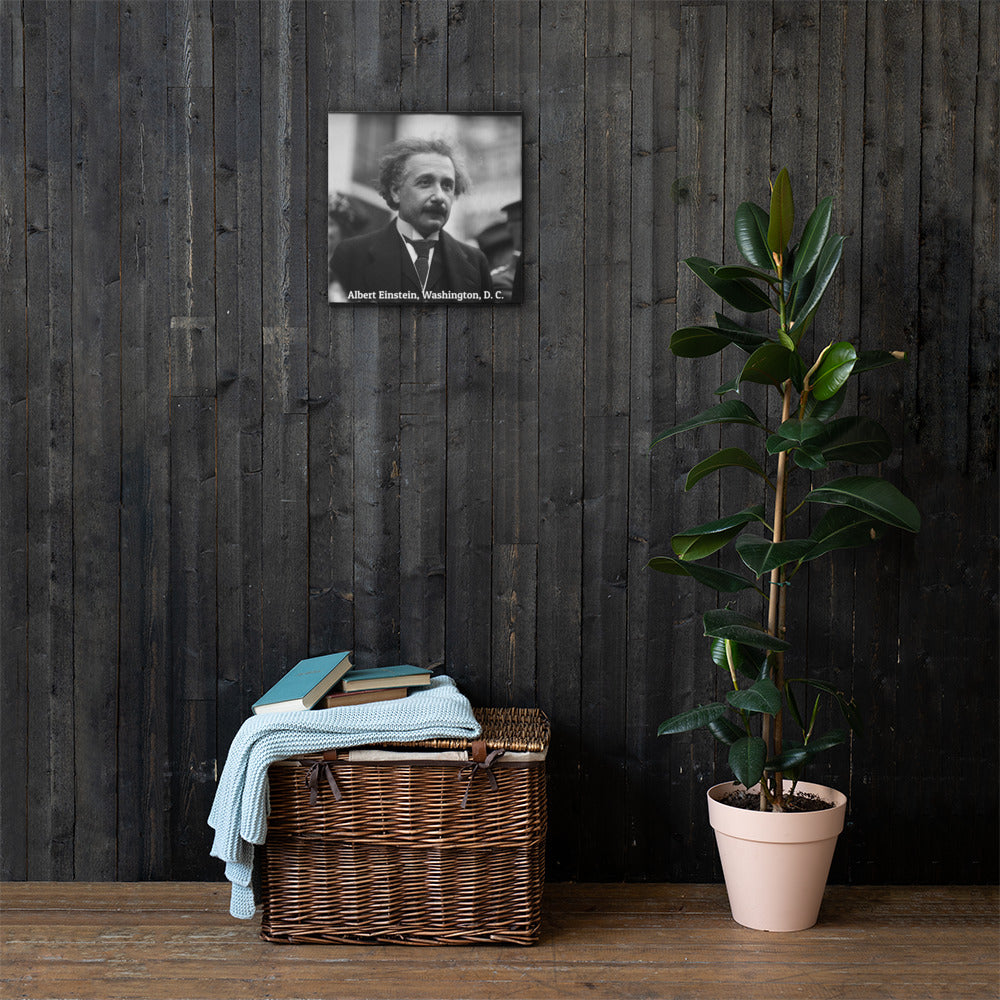 Einstein in Washington (Canvas)