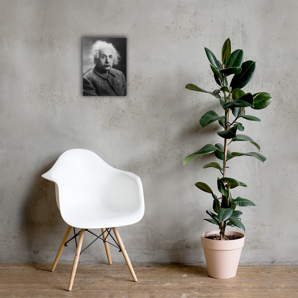 Einstein Portrait (Canvas)