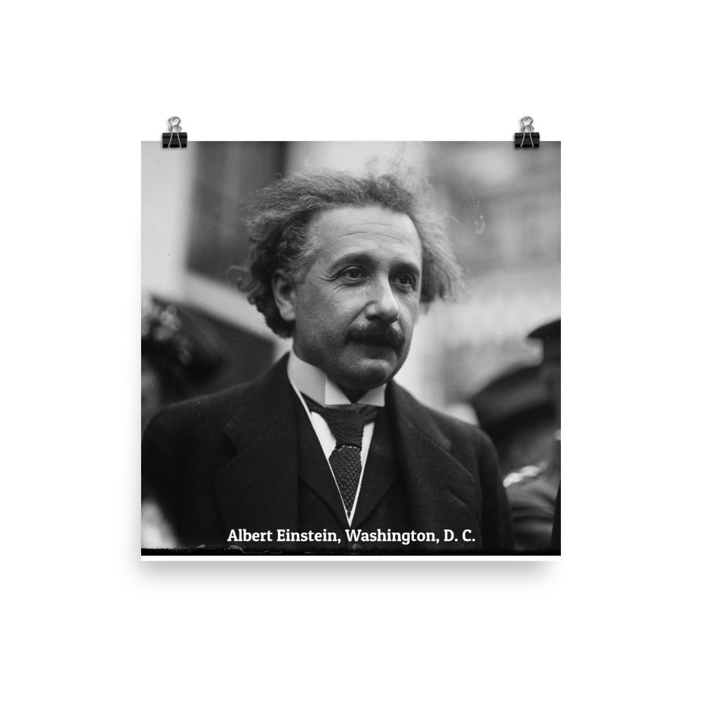 Einstein in Washington (Poster - Paper Matte)