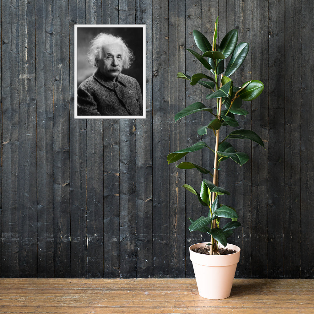Einstein Portrait (Poster - Matte Framed)