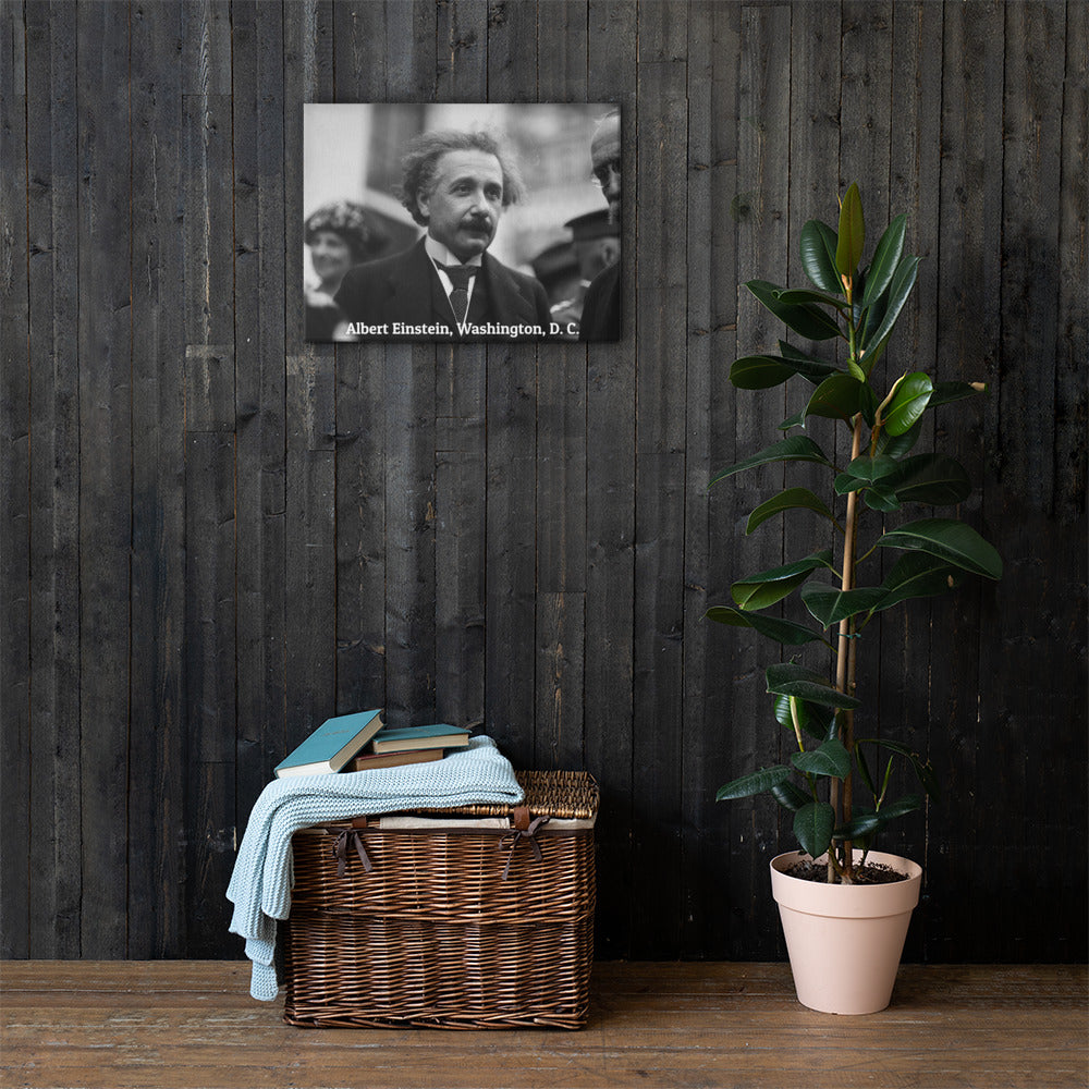 Einstein in Washington (Canvas)