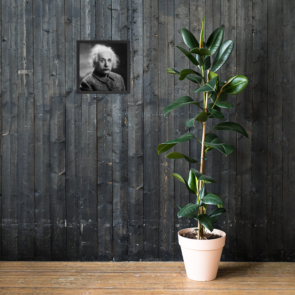 Einstein Portrait (Poster - Matte Framed)