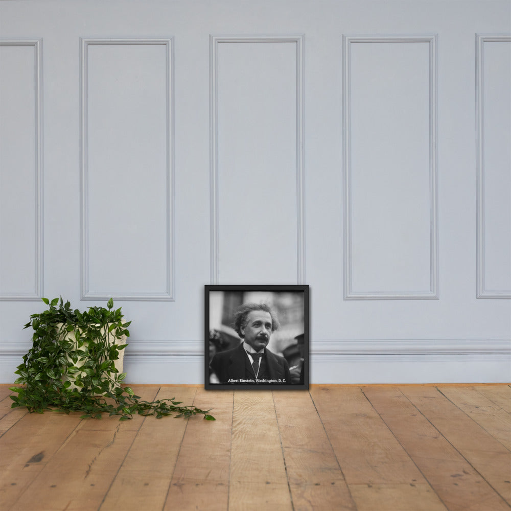 Einstein in Washington (Poster - Matte Framed)