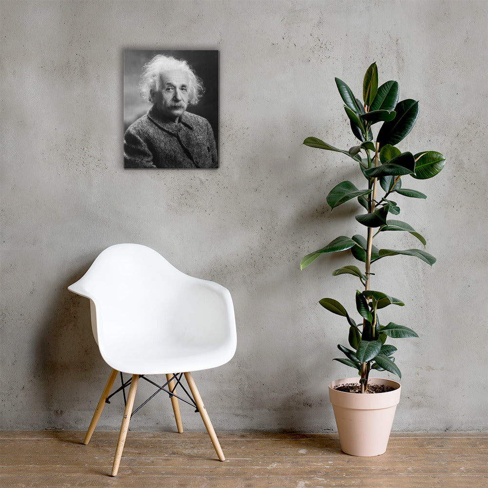 Einstein Portrait (Canvas)