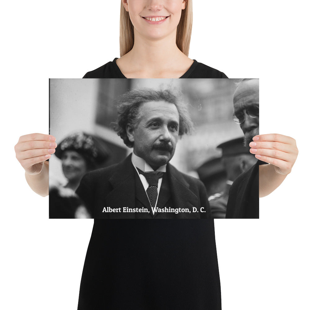 Einstein in Washington (Poster - Photo Paper)