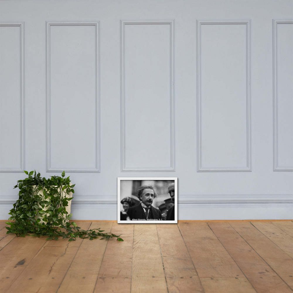 Einstein in Washington (Poster - Matte Framed)