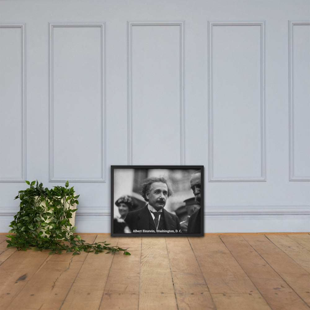 Einstein in Washington (Poster - Matte Framed)