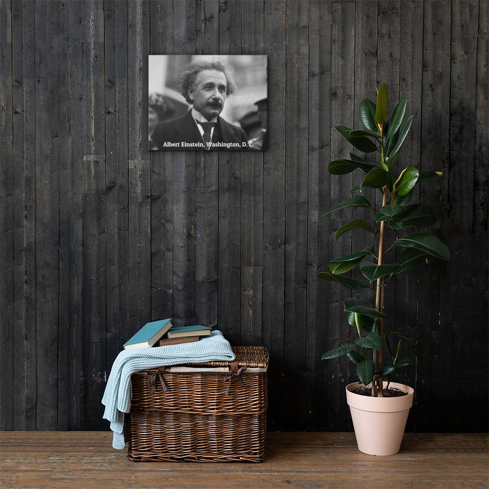 Einstein in Washington (Canvas)