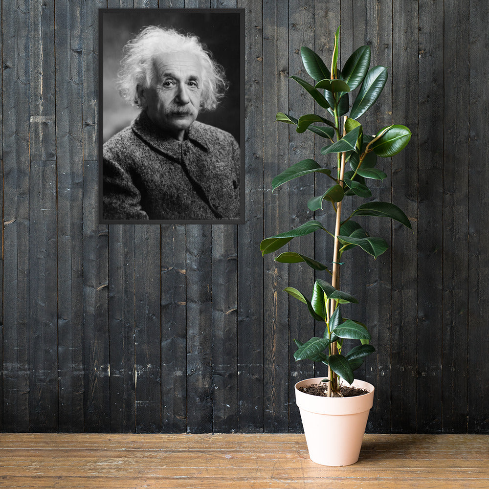 Einstein Portrait (Poster - Matte Framed)
