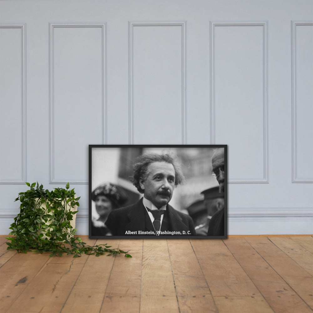 Einstein in Washington (Poster - Matte Framed)