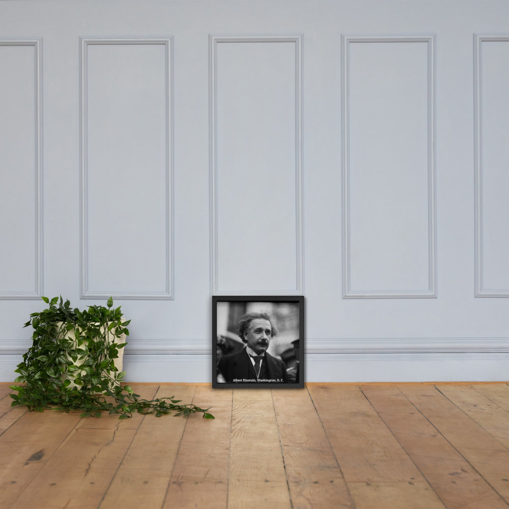 Einstein in Washington (Poster - Matte Framed)