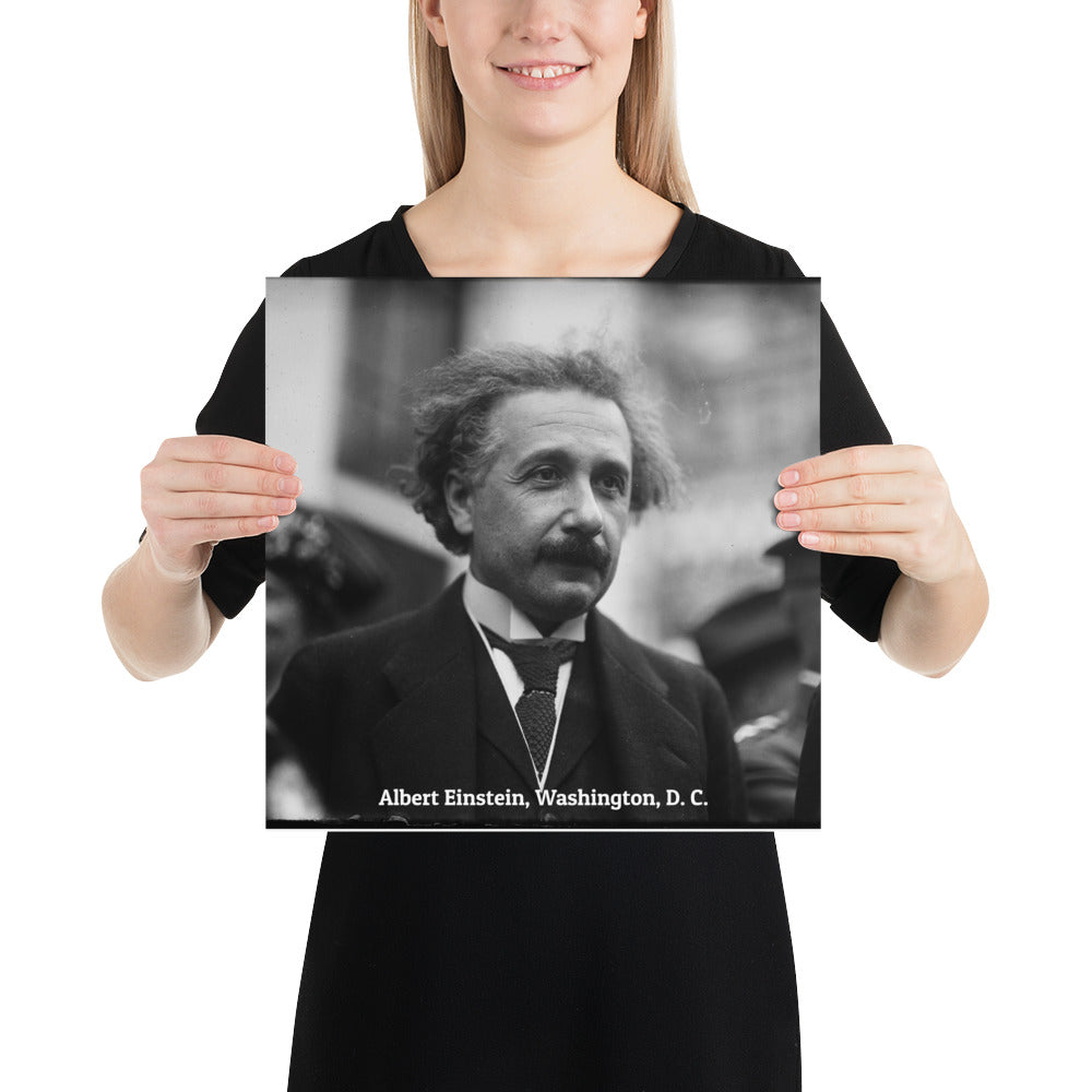 Einstein in Washington (Poster - Photo Paper)