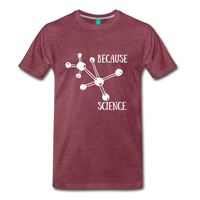 Because Science (Men's Premium T-Shirt) - heather burgundy