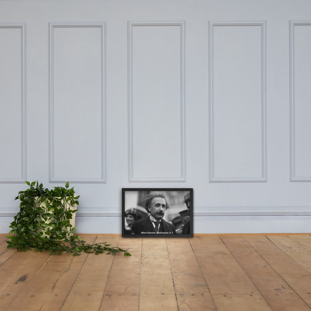 Einstein in Washington (Poster - Matte Framed)