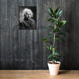 Einstein Portrait (Poster - Matte Framed)