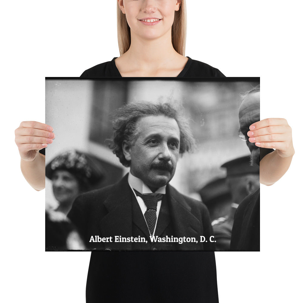Einstein in Washington (Poster - Photo Paper)