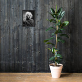 Einstein Portrait (Poster - Matte Framed)