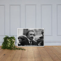 Einstein in Washington (Poster - Matte Framed)